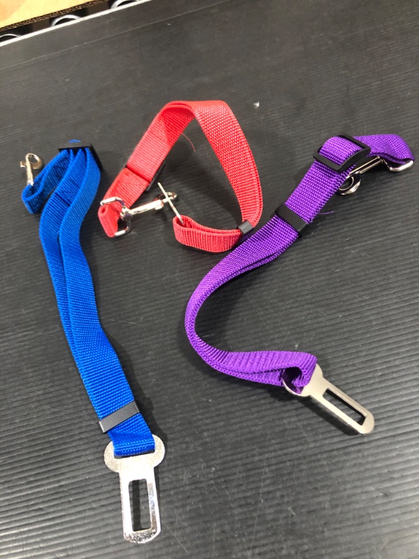 Photo 1 of 3 PACK PET SEAT BELT MULTICOLOR 