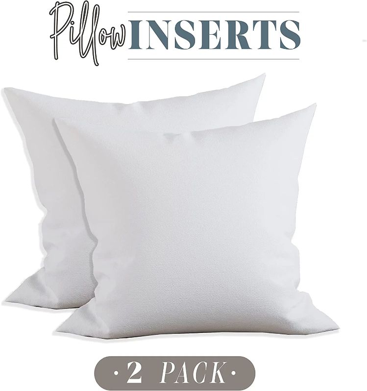 Photo 1 of 24 X 24 INCH PILLOW INSERTS, 2 PACK