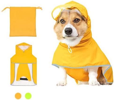 Photo 1 of [Size M] Luccalily Dog Raincoat