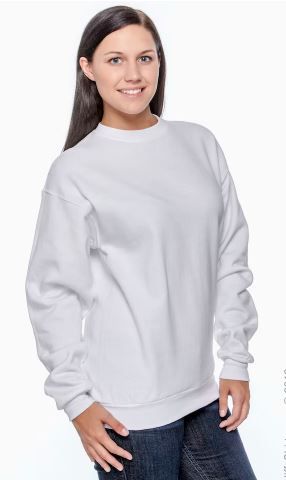Photo 1 of [Size XL] Hanes EcoSmart Sweatshirt- White