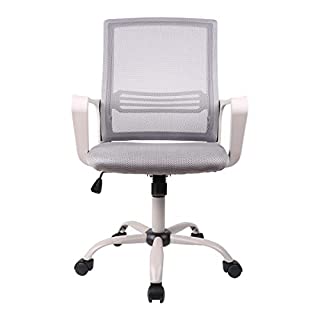 Photo 1 of SMUGDESK Ergonomic Swivel Task Computer Desk Home Office Chair with Wheels and Arms, Gray