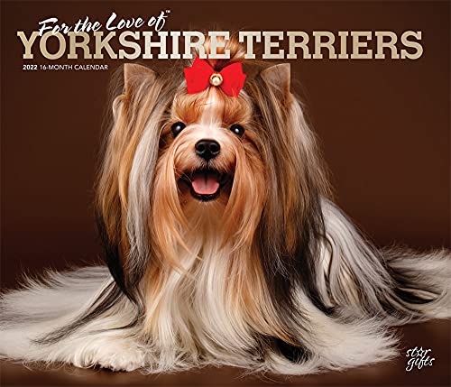 Photo 2 of For the Love of Yorkshire Terriers 2022 14 X 12 Inch Monthly Deluxe Wall Calendar with Foil Stamped Cover and Stickers by StarGifts, Animal Small Dog
