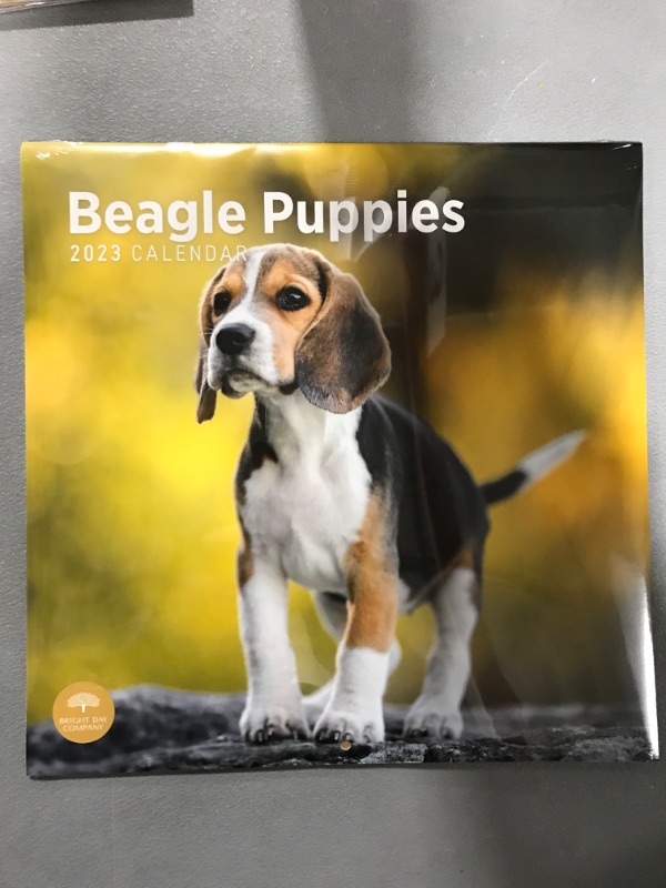 Photo 2 of 2023 Beagle Puppies Wall Calendar by Bright Day, 12x12 Inch, Cute Adorable Pet Dog Photography