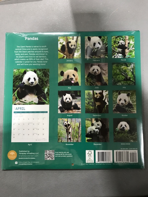 Photo 2 of 2023 Pandas Wall Calendar by Bright Day, 12x12 Inch, Cute Adorable Nature Wildlife Photography