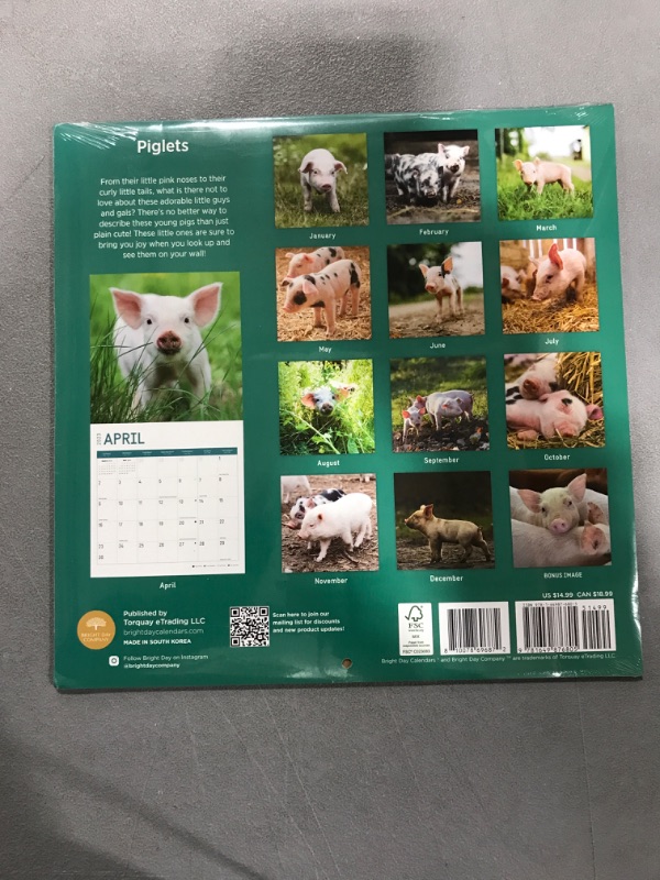 Photo 2 of 2023 Piglets Wall Calendar by Bright Day, 12x12 Inch, Cute Adorable Baby Farm Animal Kids Photography