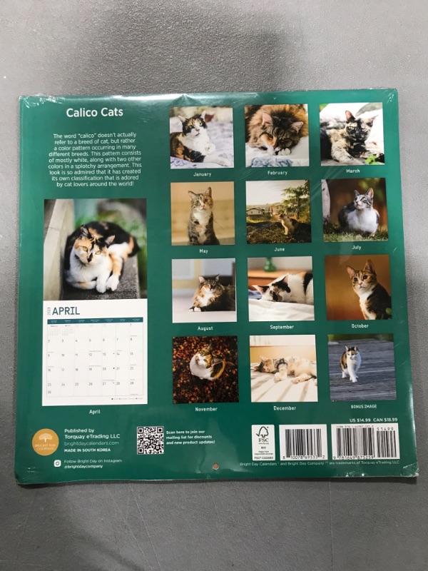 Photo 2 of 2023 Calico Cats Wall Calendar by Bright Day, 12x12 Inch, Cute Adorable Pet Kitten Photography