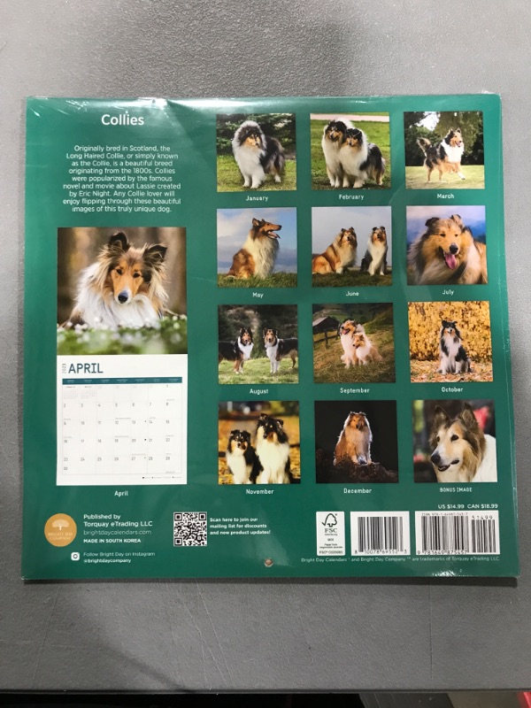 Photo 2 of 2023 Collies Wall Calendar by Bright Day, 12x12 Inch, Cute Adorable Pet Puppy Dog Photography