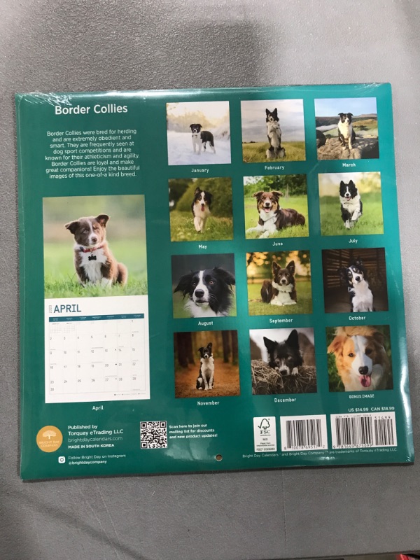 Photo 2 of 2023 Border Collies Wall Calendar by Bright Day, 12x12 Inch, Cute Adorable Pet Dog Photography