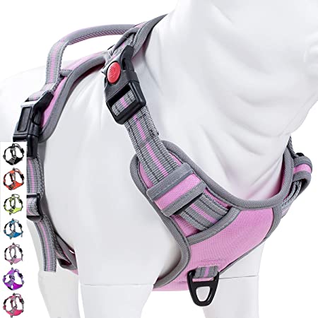 Photo 1 of  No Pull Dog Harness 
