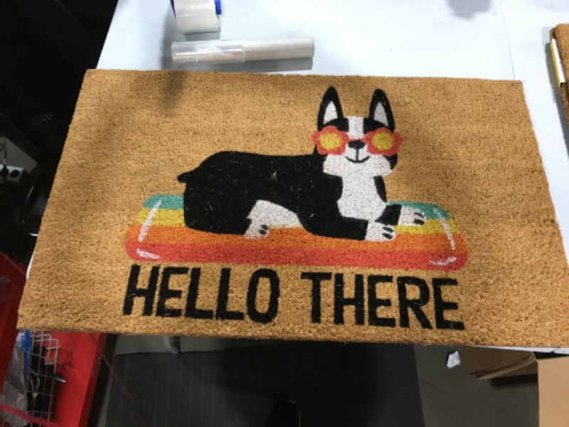 Photo 2 of 16x26 Hello Summer Dog Doormat Natural - Threshold