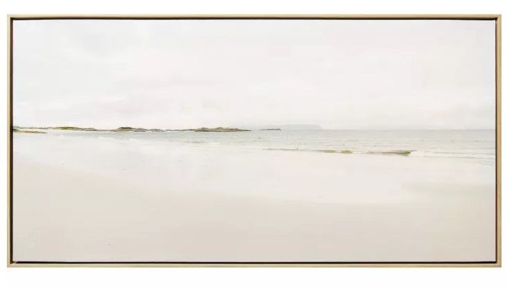 Photo 1 of 47" x 24" Blush Beach Framed Canvas - Threshold™