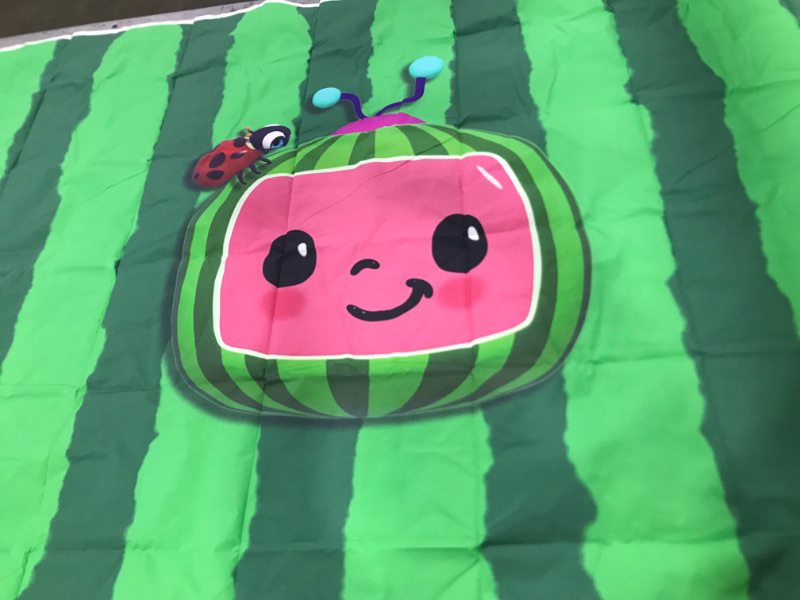 Photo 1 of  Cartoon Melon Backdrop Cartoon Party Decorations Birthday Banner Wall Decro   SIZE 6 X 4 FT