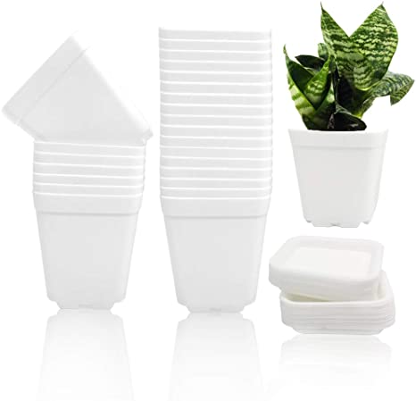 Photo 1 of 35 Pcs 3 Inch Plastic Plant Pots,White Square Plastic Planters,Seedling Nursery Pots with Saucer,Flower Plant Pots Indoor Outdoor for Succulents,Flowers,Cactus,Garden Office and Balcony Decor