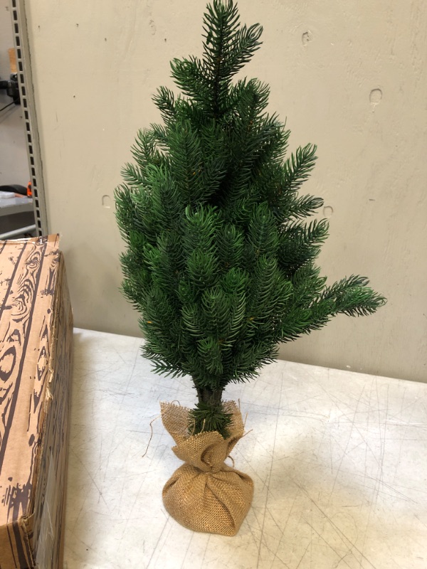 Photo 2 of 12" Unlit Pine Tree
