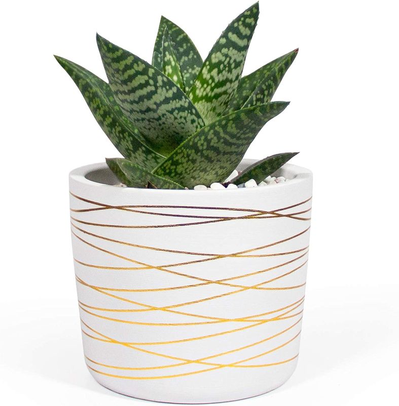 Photo 1 of 12 inch Ceramic Plant Pot - Small White Planter with Gold Stripes