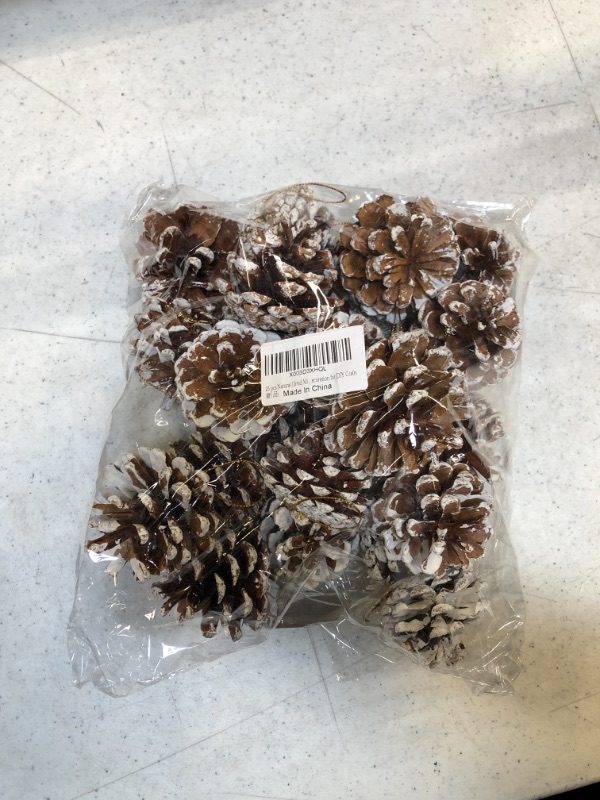 Photo 2 of 25 pcs Natural Dried Christmas Pine Cones Holiday Pinecones Pine Cones Ornaments Xmas Pine Cones Fall Thanksgiving Christmas Party Decoration for DIY Crafts
