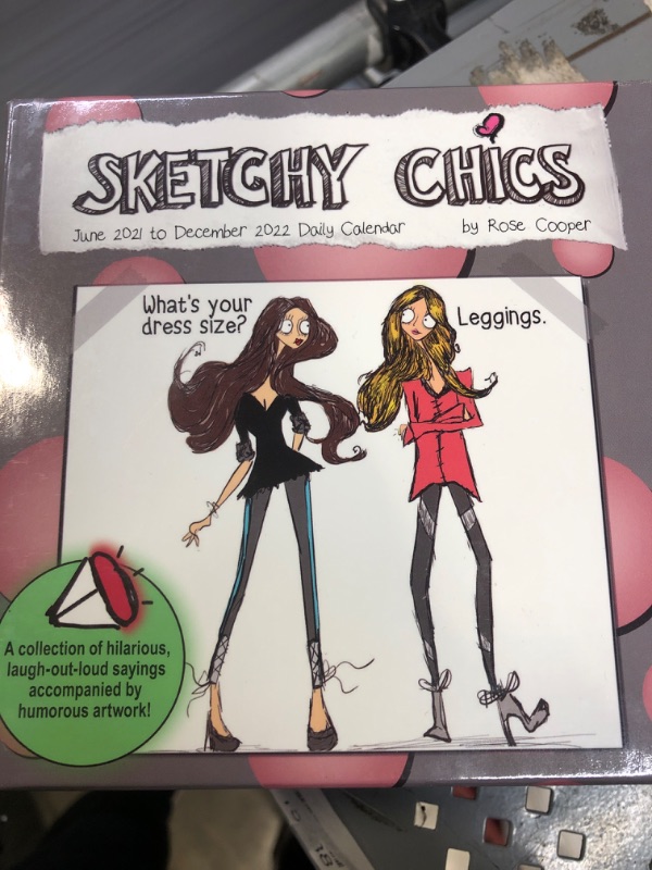 Photo 2 of Turner Licensing Sketchy Chics 19-Month Box Calendar