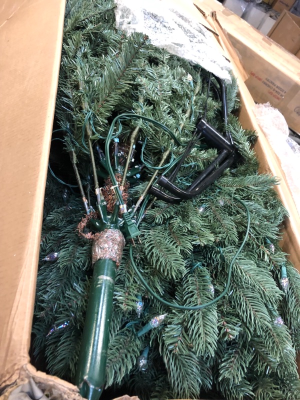 Photo 4 of National Tree Company Pre-Lit 'Feel Real' Artificial Full Christmas Tree, Green, Frasier Grande, White Lights, Includes Stand, 7.5 Feet 7.5 ft----some of the lights needs fixing or replacing 