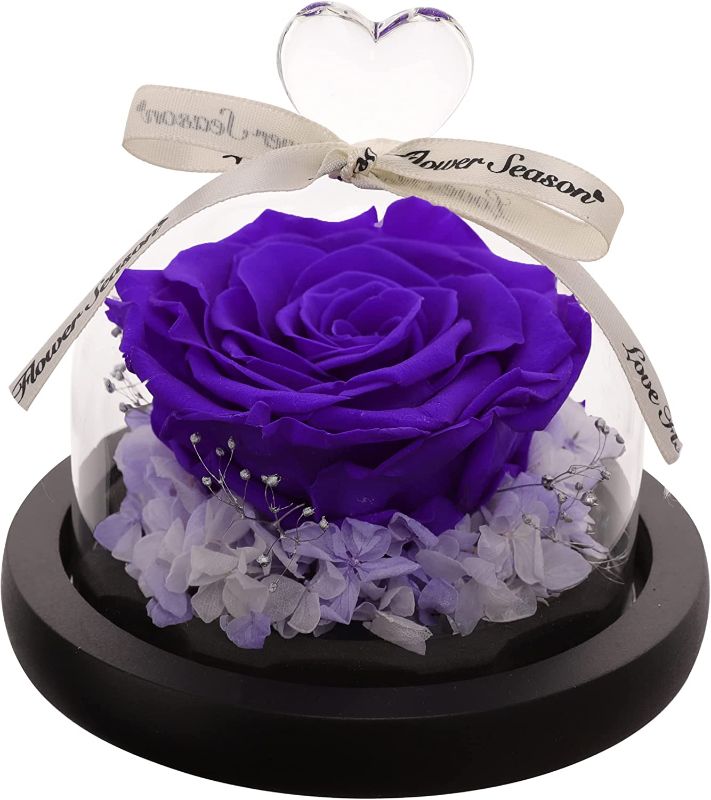 Photo 1 of  Purple Forever Rose Birthday Gifts for Women, Exquisite Glass Dome with White Ribbon - SEALED / UNOPENED 
