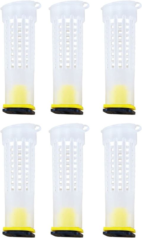 Photo 1 of  Plastic Queen Bee Butler Cages/Tube Catcher Pack of 6

