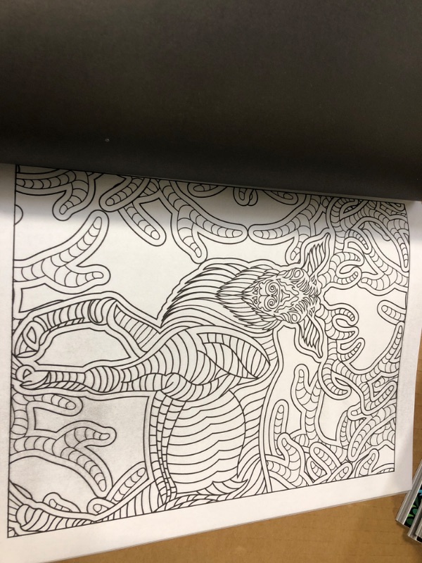 Photo 2 of 2 pcs ---Anxiety Relief Adult Coloring Book: Over 100 Pages of Mindfulness and anti-stress Coloring To Soothe Anxiety featuring Beautiful and Magical Scenes, Relaxing Designs with Paisley patterns | Adult Coloring Book