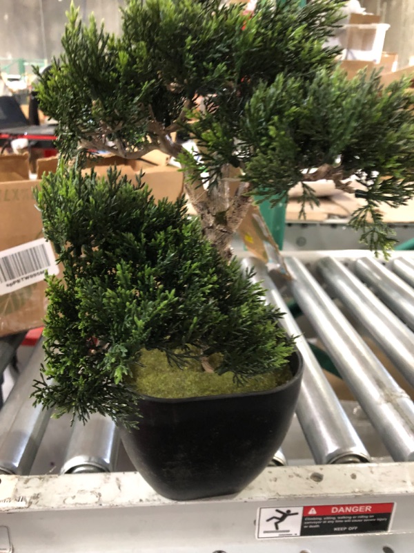 Photo 2 of 16 in. Artificial Cedar Bonsai Silk Plant