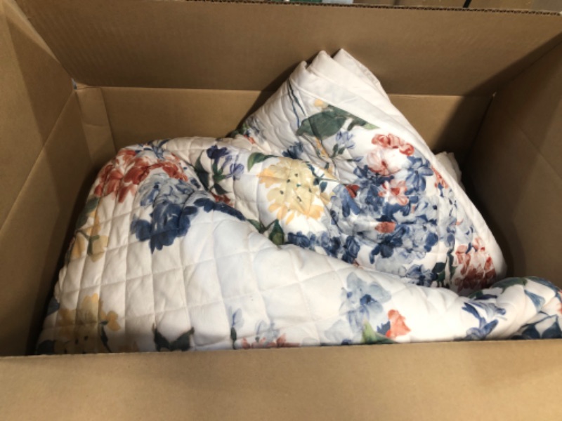 Photo 1 of Floris Printed Oversized Velvet Ultra-Soft Luxury Quilt