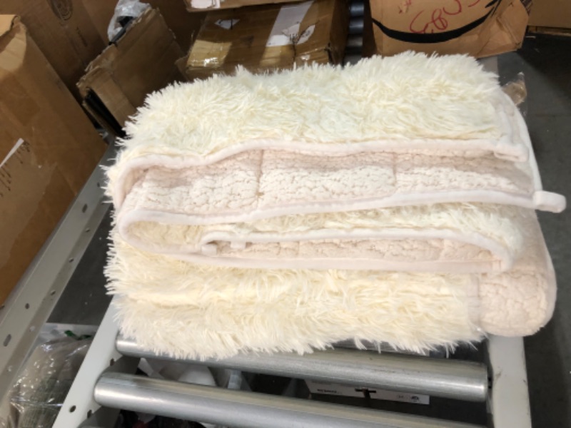 Photo 2 of Pawque Faux Fur Throw Blankets, Comfy Chic Plush Fuzzy Blanket, Lightweight Long Hair Shaggy Blanket, Reversible Fluffy Cozy Fuzzy Blanket for Bedroom Sofa Couch, 60x80 inches, Cream Cream 60" x 80"