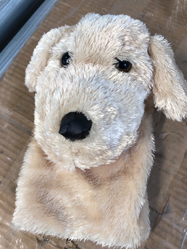 Photo 2 of Aurora - Hand Puppet - 10" Garth Dog