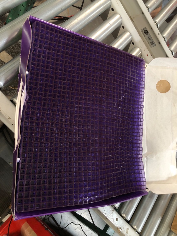 Photo 2 of [USED] Purple Innovation Double Seat Cushion