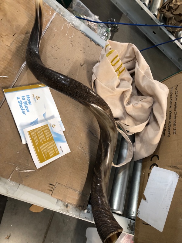 Photo 1 of **USED BUT APPEARS NEW**  Kosher Kudu Shofar Horn from Israel – Traditional Half Polished Yemeni Shofar Includes Carrying Bag