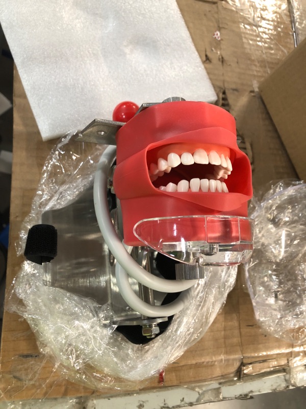 Photo 2 of ANNWAH Dental Simulator Manikin Phantom Head - Teaching Mouth Head Model Fix on Chair Replaceable Typodont Tooth Model 360-Degree Adjustment for Dentists & Dental Assistants and Hygienists Head Model?B)