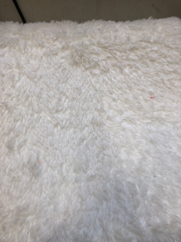 Photo 3 of  Shaggy White Rug 6X3