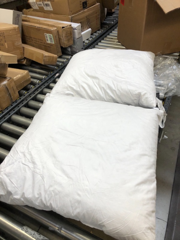 Photo 1 of 2 large pillows 
