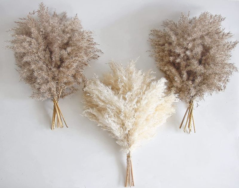 Photo 1 of 30 PCS Boho Decor, Fluffy Pompas Grass, Natural Dry Pampas Grass Small, Short Pampass Bulk for Boho Room Decor, Coffee Table Decor (17 inch )