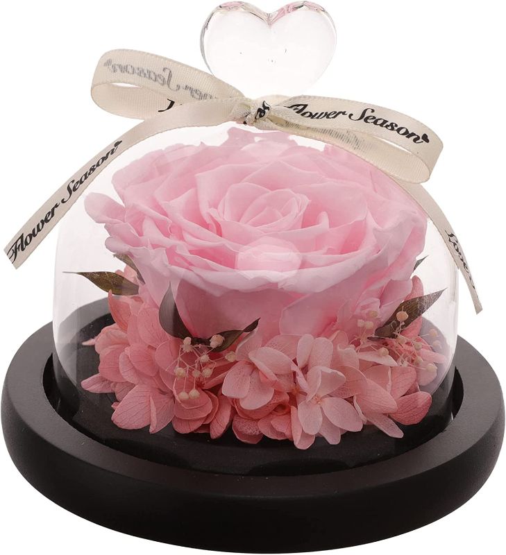 Photo 1 of Hoomna Pink Forever Rose Birthday Gifts for Women, Handmade Glass Dome with Ribbon