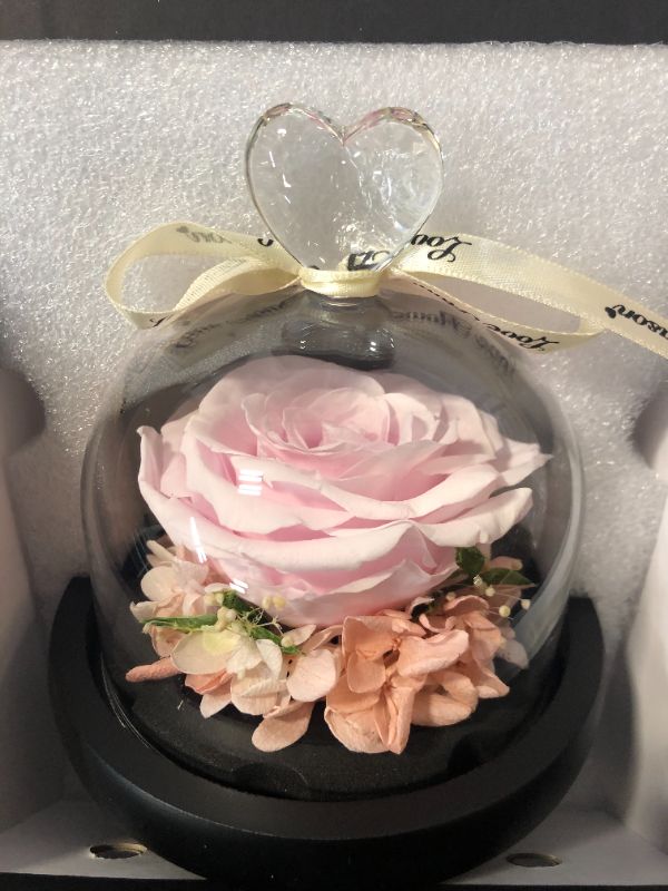 Photo 3 of Hoomna Pink Forever Rose Birthday Gifts for Women, Handmade Glass Dome with Ribbon