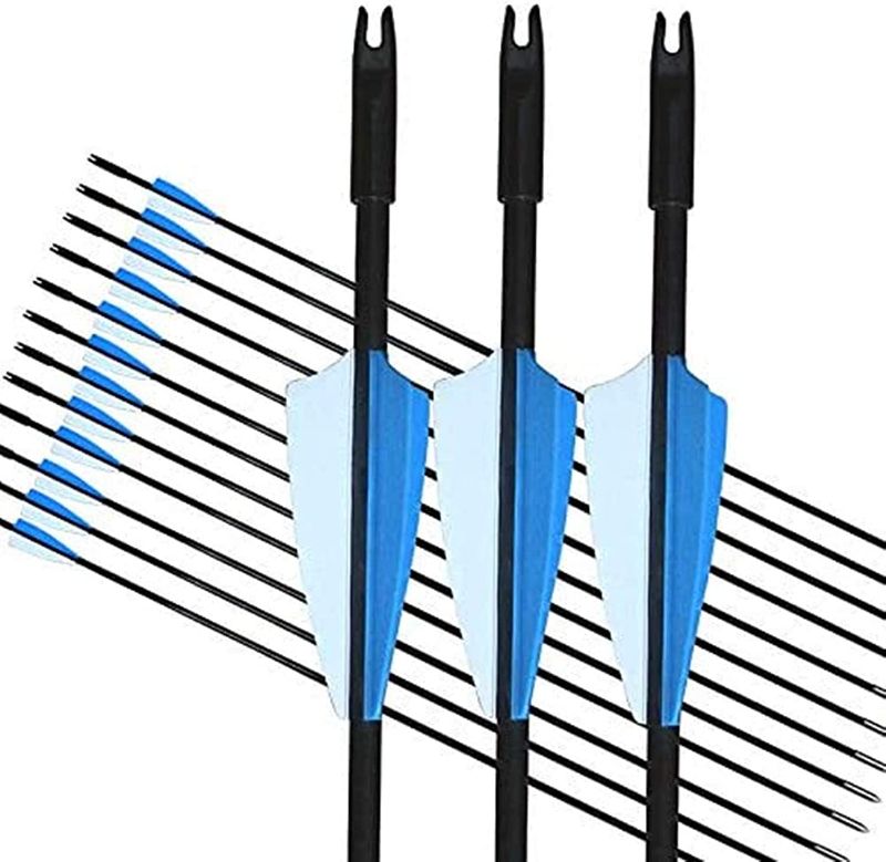 Photo 1 of  Archery Beginner's First Arrows (30" Fiberglass Target Archery Arrows) - 9 Pack
