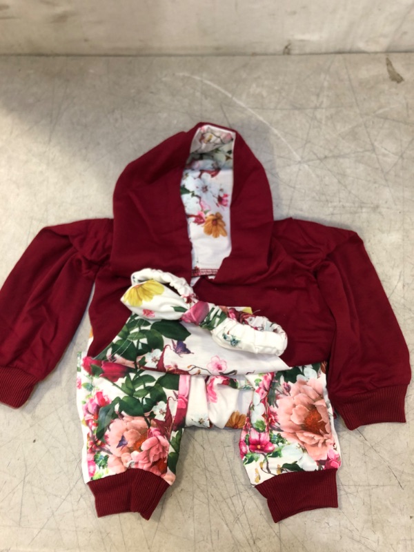 Photo 1 of BABY/TODDLER  OUTFIT. FLORAL SIZE 18-24 MONTHS