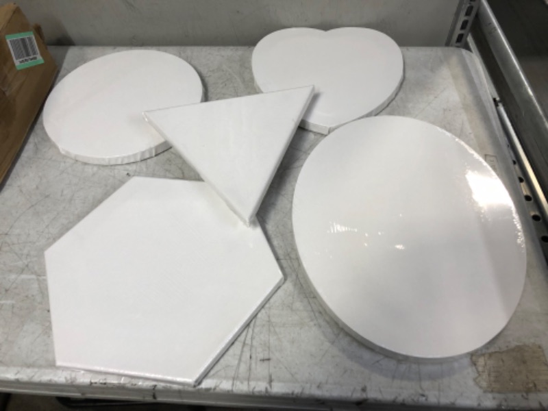 Photo 1 of 10pc shaped canvas 