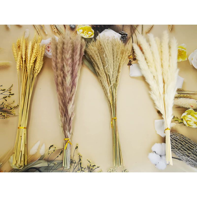 Photo 1 of 100 PCS Boho Pampas Grass - Nature Dried Pampas Grass Decor,Fluffy Rustic Trendy Minimalist, Boho Farmhouse Room Home Party Table Wedding Decor