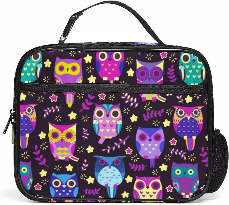 Photo 1 of  Owl Lunch Box for Women Insulated Cute Waterproof Thermal Lunch Bag Food Container Lunch Cooler Bag Men Girls Boys with Mesh Pocket for Work Picnic, Owl