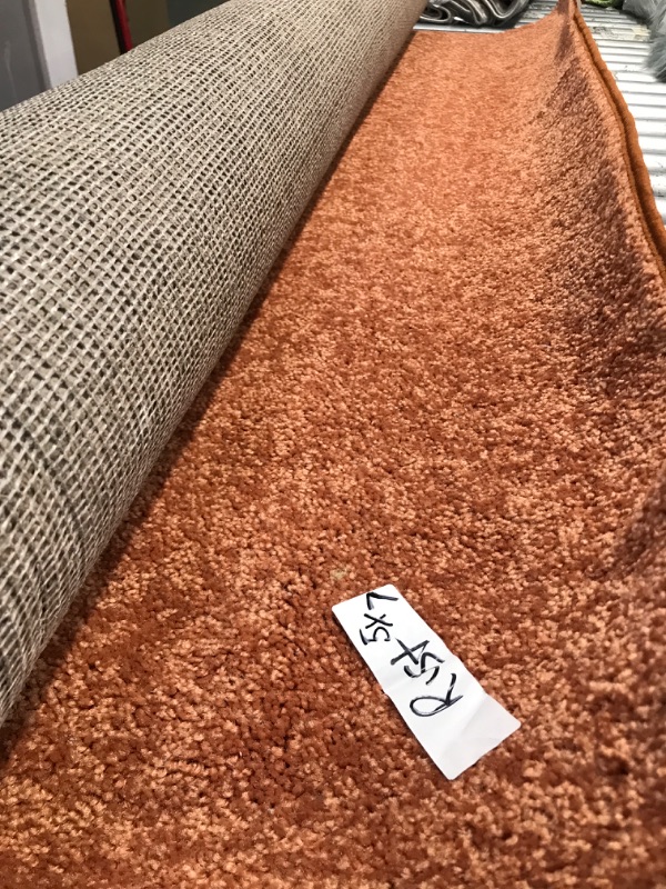 Photo 1 of 5' x 7' area rug color rust