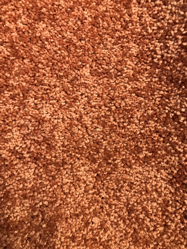 Photo 2 of 5' x 7' area rug color rust