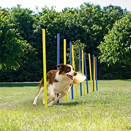 Photo 4 of Petprime Dog Agility Hurdle Pole Set with a Carrying Case 12PCS, Dog Agility kit Training Course Equipment Professional, Jump Obstacle Course for Dogs Outdoor, Puppy Agility Course Backyard Set