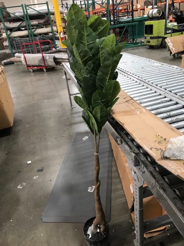 Photo 3 of 
LYERSE 6ft Artificial Fiddle Leaf Fig Tree Faux in Plastic Nursery Pot, Ficus Lyrate Greenery Plant Fake Fig Tree, Artificial Trees for Office House Living...