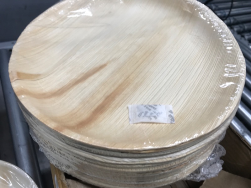 Photo 2 of 10ct Areca Palm Leaf Dinner Plates - Spritz™

