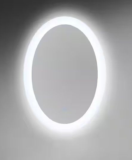 Photo 1 of 20 in. W x 28 in. H Frameless Oval Anti-Fog Brightness Memory LED Bathroom Vanity Mirror in Silver
