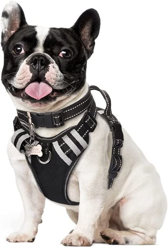 Photo 1 of 8GPuppy Dog Harness Small Black 