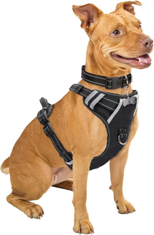 Photo 1 of 8GPuppy Dog Harness Black Medium 